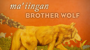 Ma’iingan: Brother Wolf
