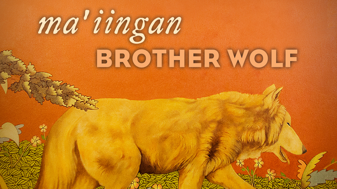 Ma'iingan: Brother Wolf title image