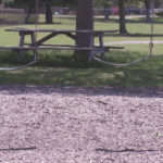 Meet the Quilt Expo Quilters