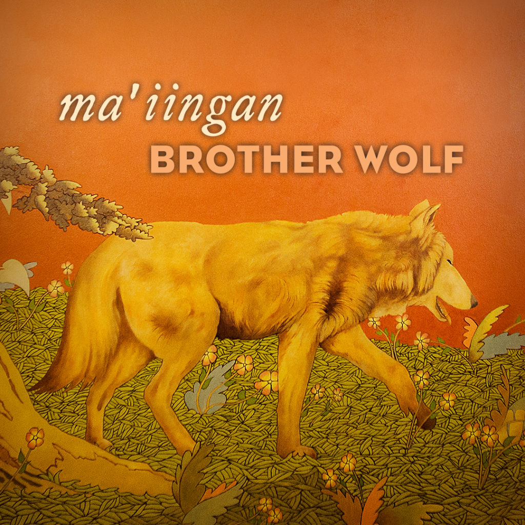 New Documentary Explores Ojibwe Connections to Maiingan: Brother Wolf