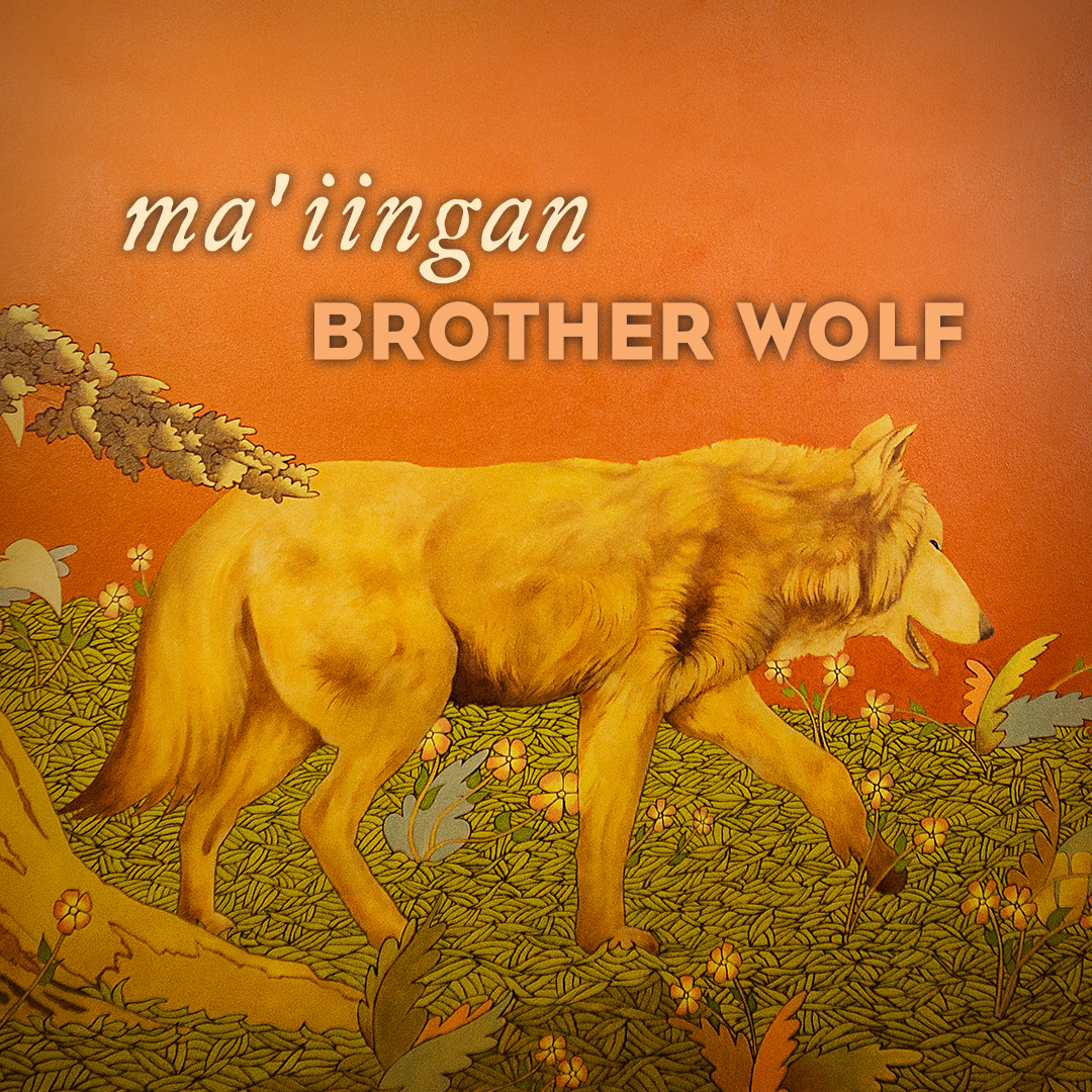 wolf brother audio book wolf brother audio book