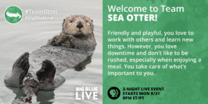 ‘Big Blue Live’: A Celebration of Marine Wildlife