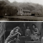 A Look Ahead With WPT’s Director of Programming