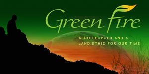 After a Successful Year, Green Fire Premieres on WPT