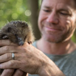 Tune In: Meet the Hedgehogs Premiering on WPT April 7