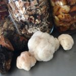 Get growing with WPT!