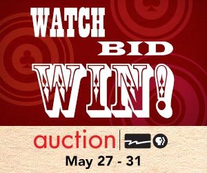 Watch! Bid! Win! WPT Auction