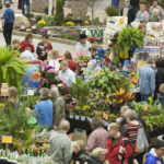 Green thumbs go LIVE this Saturday from Garden & Landscape Expo 2019