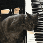 Victorious Blog, Episode 5: The Queens Husband