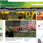 A new season and a new site