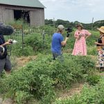 Around the Farm Table Blog: Endless Summer