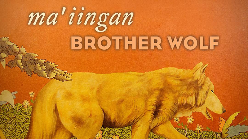 Title art for the documentary Ma'iingan: Brother Wolf.