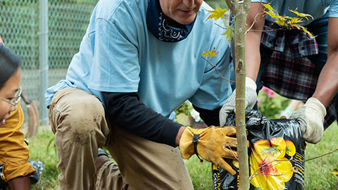 A man and two children planting a tree