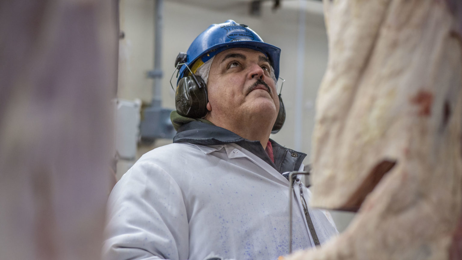 U.S. Department of Agriculture (USDA) meat inspectors and graders perform their mission. (Courtesy: USDA)