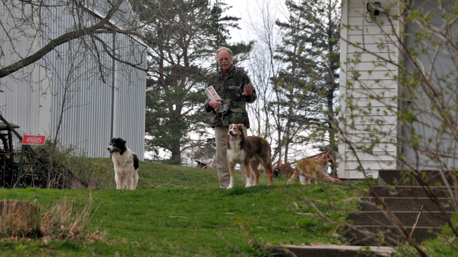 Man standing outside with 3 dogs