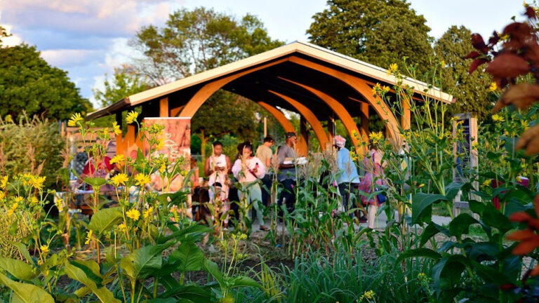 People in a garden