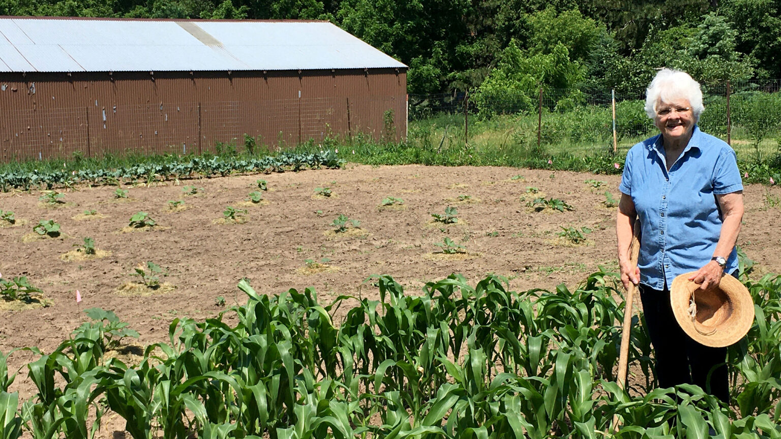 Woman standing in a vegetable garden.