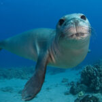 Sneak A Peek At September’s New On-Air Programs