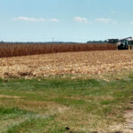 Harvest Time With PBS Wisconsin