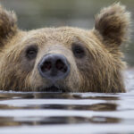 Sneak Peek! New Shows Coming to PBS Wisconsin in December