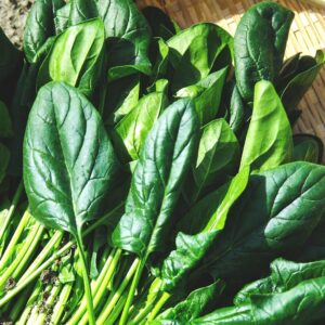 pile of spinach leaves