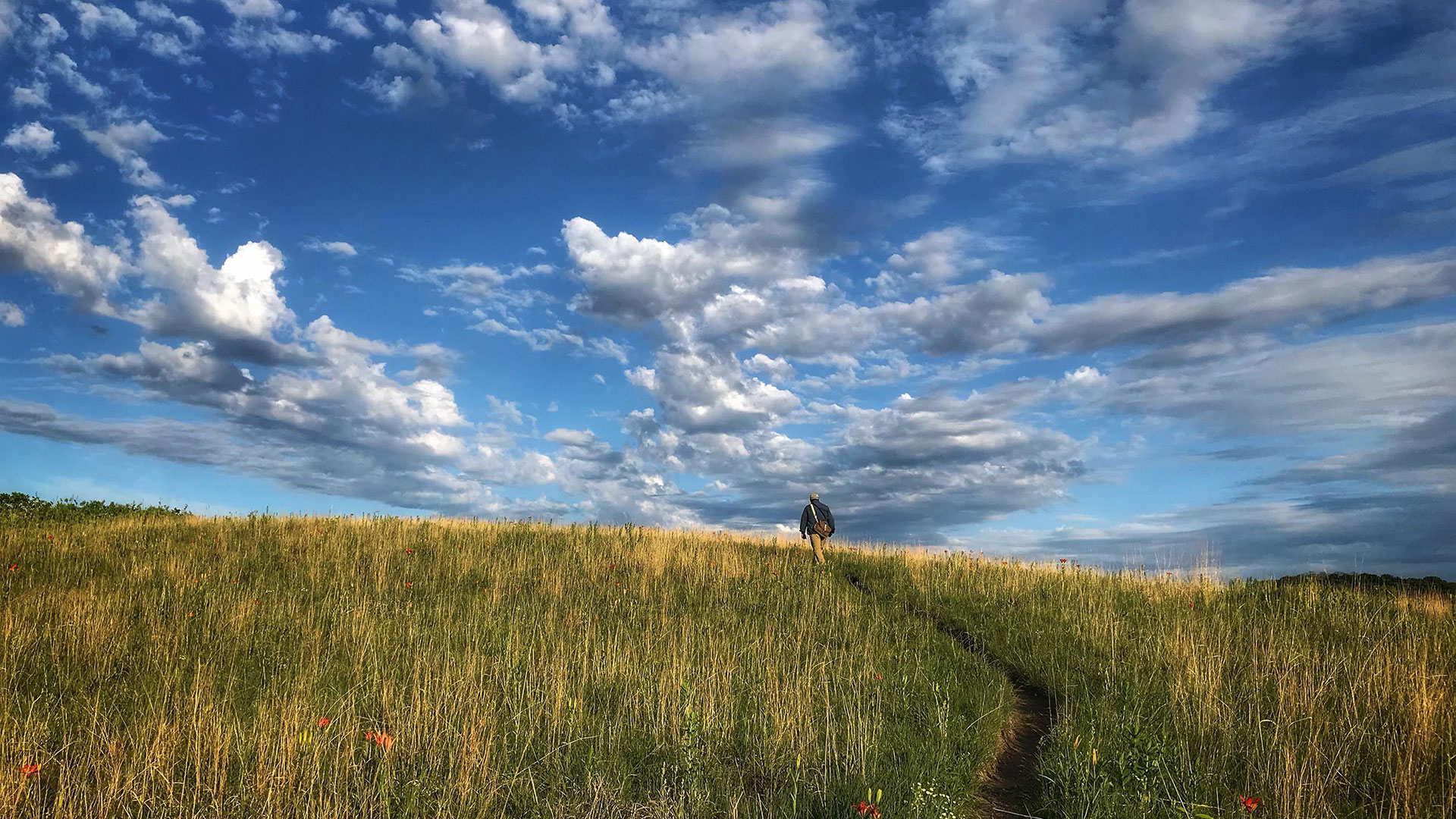 A man walks along a path through a hilly field with a stark blue sky and clouds