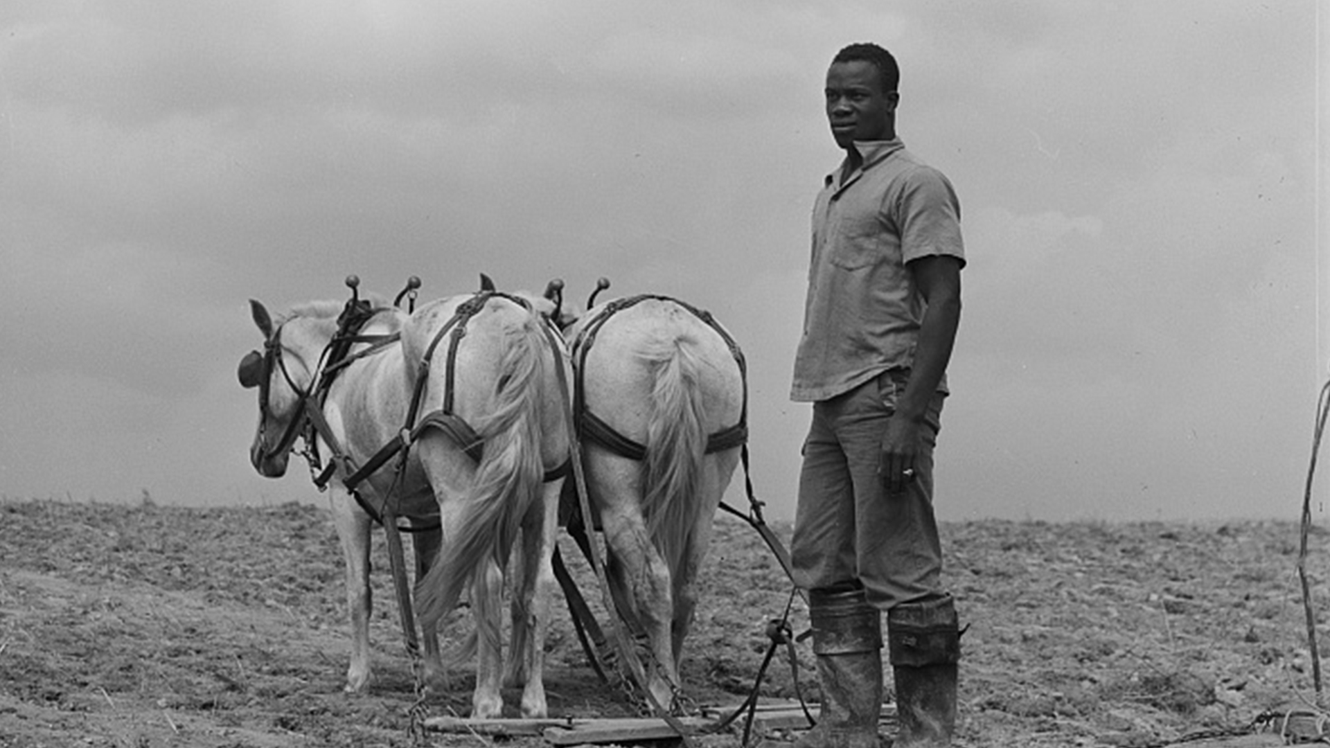 Black White And Latino Farmers