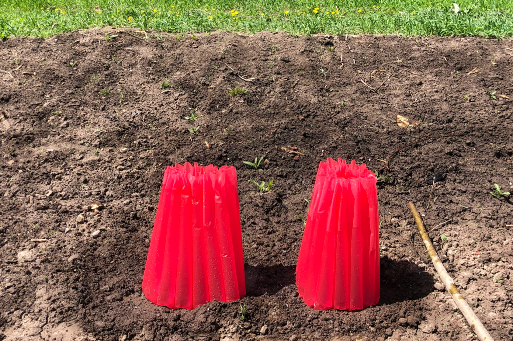 bare soil with small plastic greenhouses