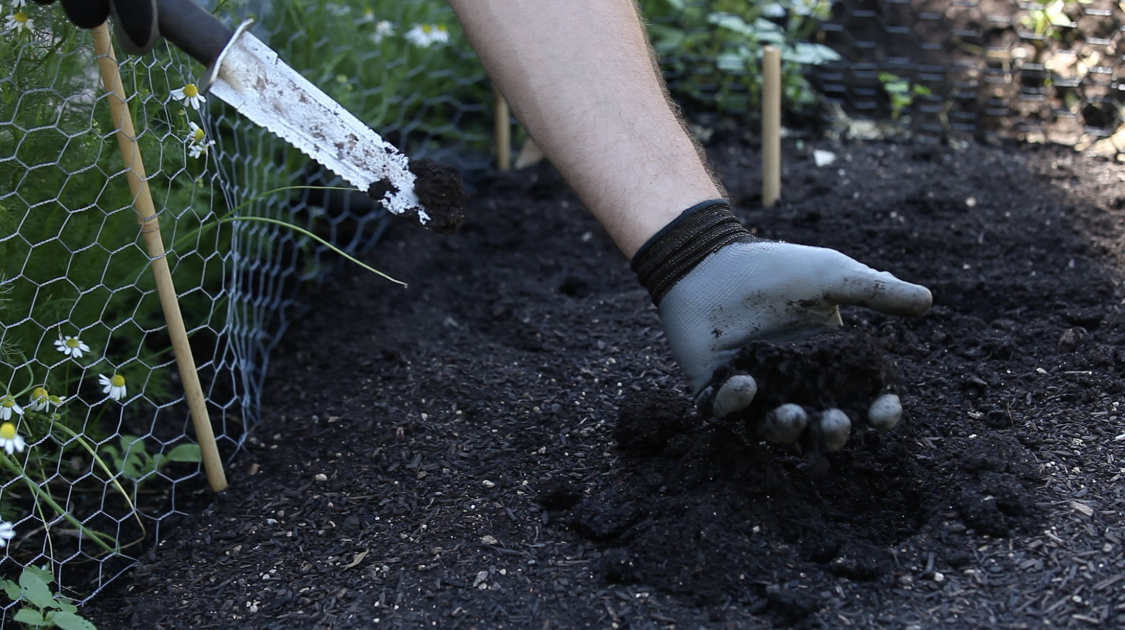 hand with glove holding soil scooped out from a garden bed