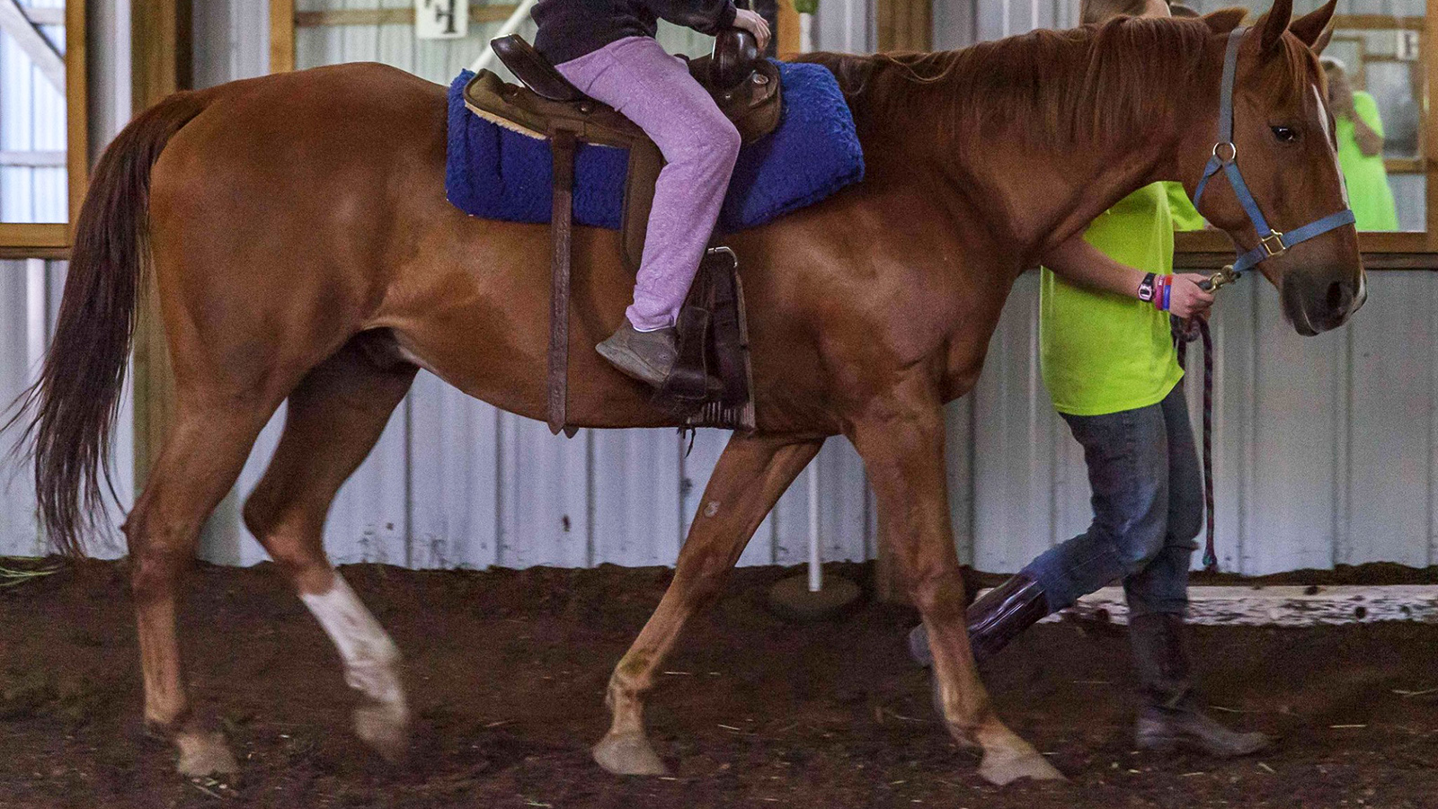Cropped photo of student riding on a horse and another person leading the bridle inside a stable