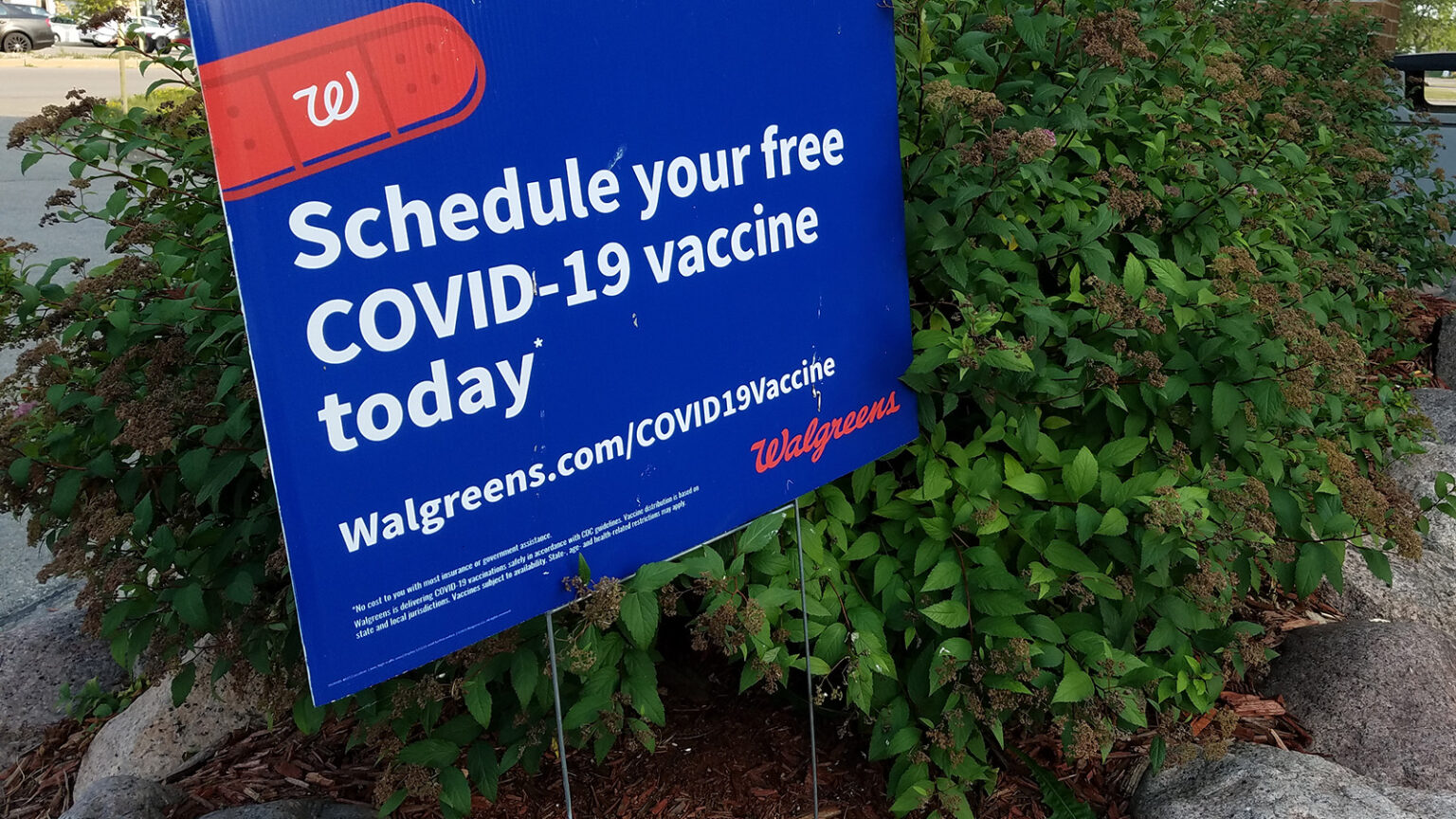 A yard sign next to bushes reads Schedule your free COVID-19 vaccine today with a Walgreens URL.
