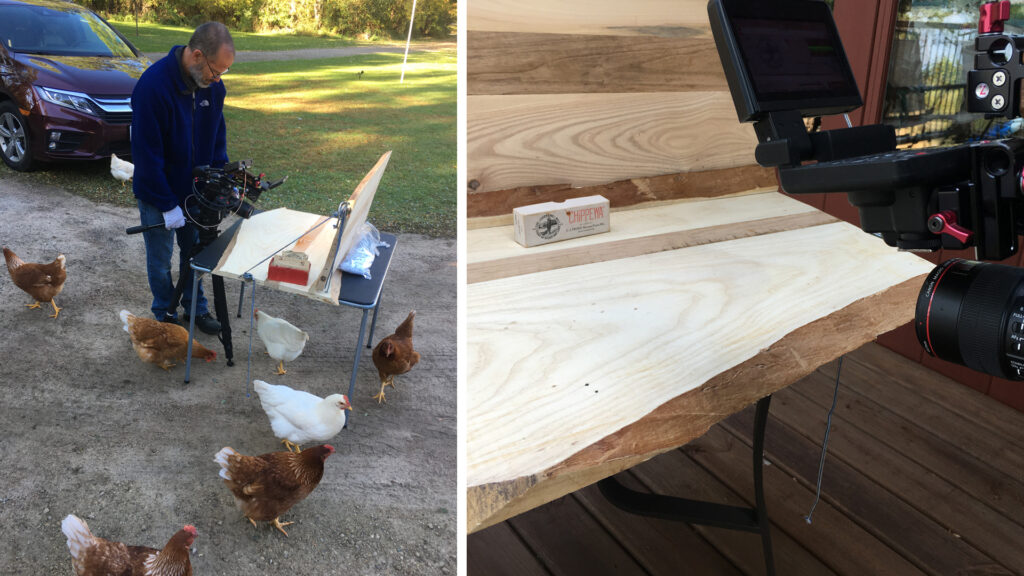 Chickens surround a camera man as he films footage of archival objects outside