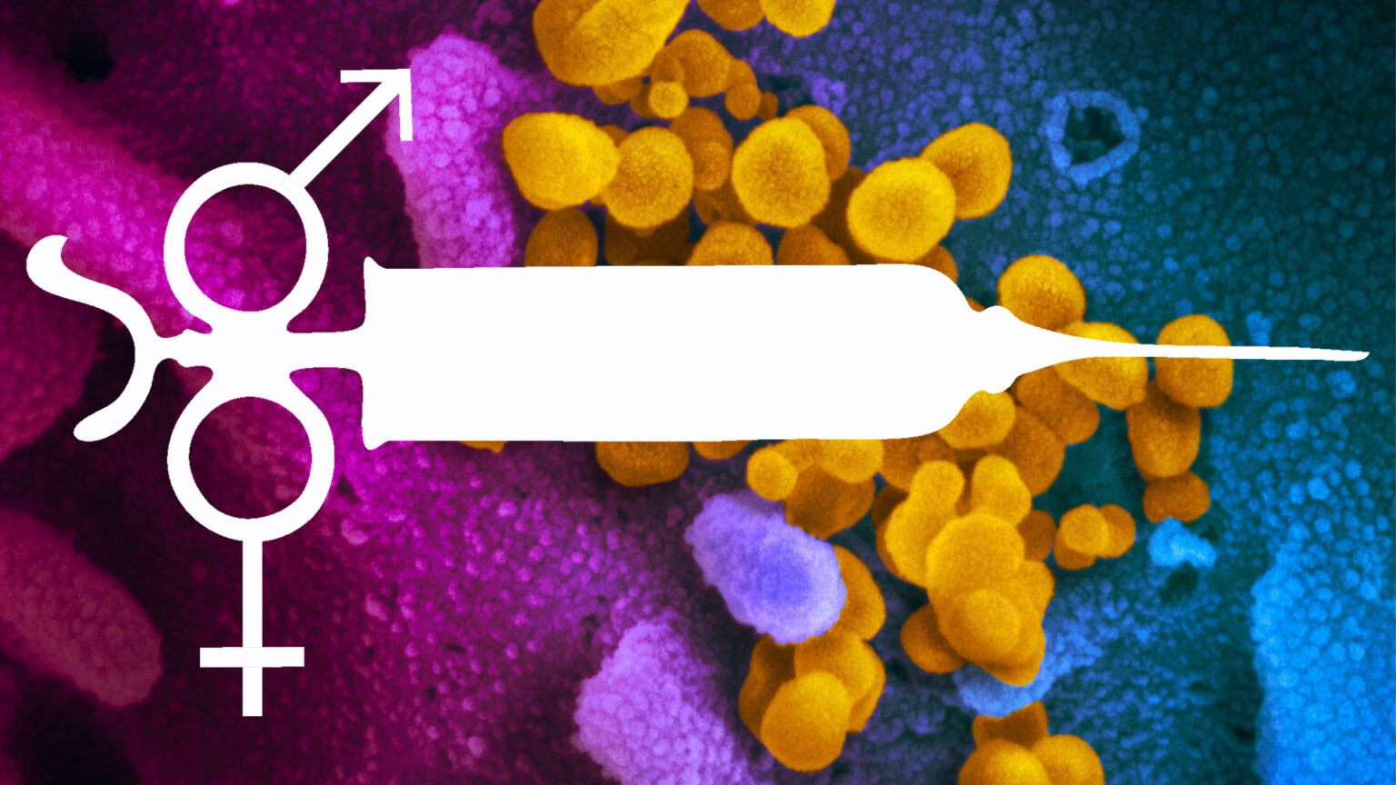 An electron micrograph of COVID-19 viroids on a cellular surface is superimposed by a cutout graphic of an antique syringe with astrological gender symbols on its handle.