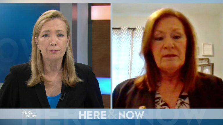 From left to right, a split screen with Frederica Freyberg and Kathy Bernier seated in different locations