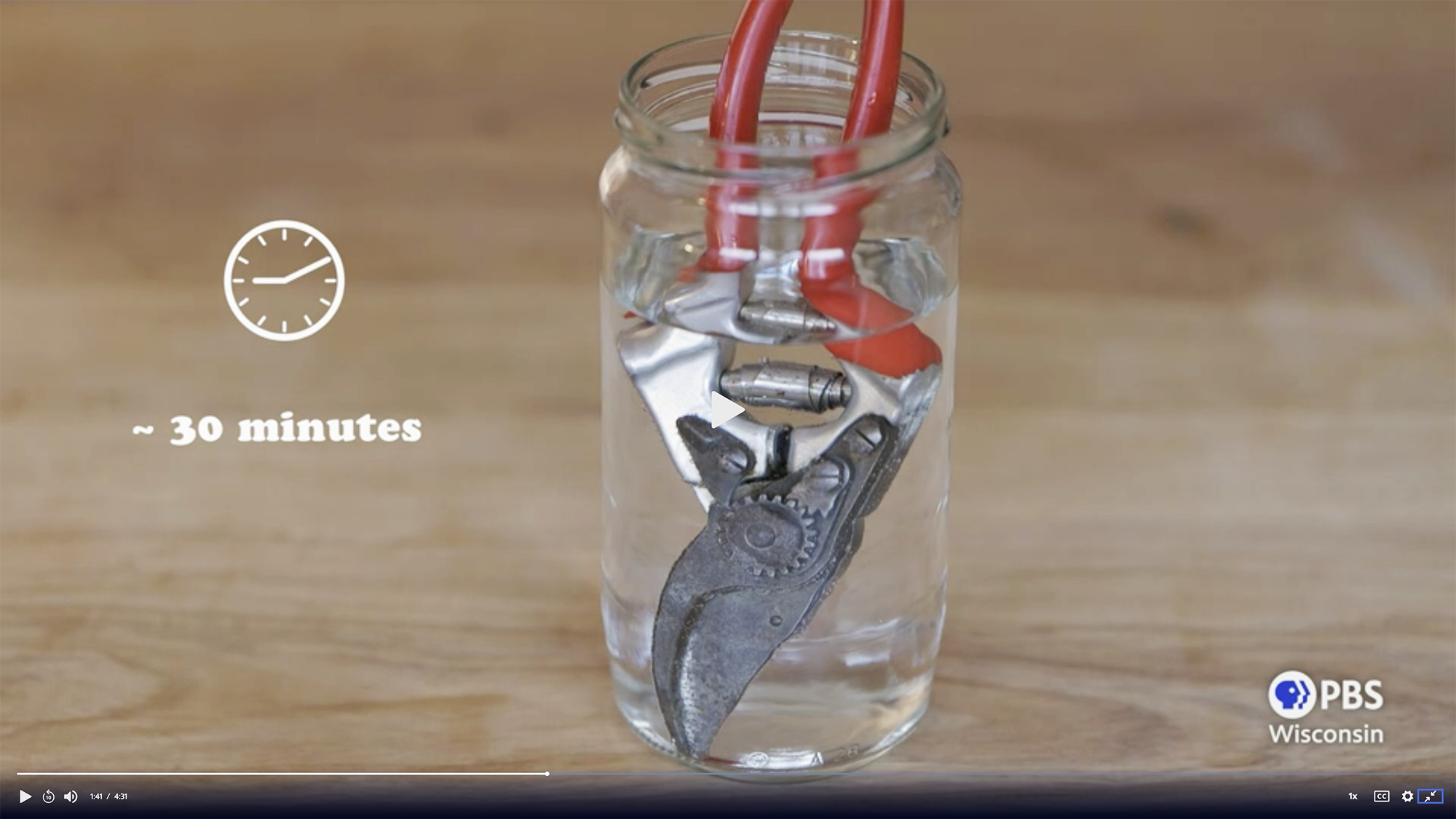 video still of gardening pruners soaking in a jar of vinegar