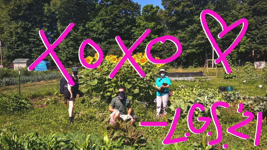 photo of a garden with handwriting of a signature in bright pink