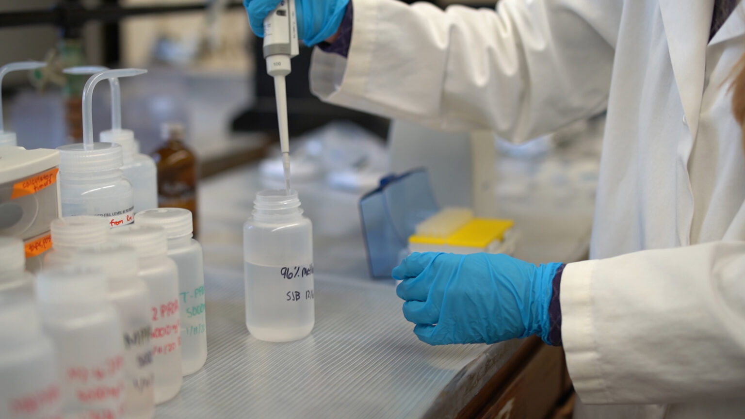 A scientist wearing a white coat and nitrile exam globes pipettes liquid from a plastic bottle.