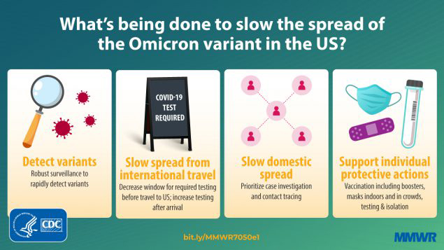 An infographic lists four answers to the question "What's being done to slow the spread of the Omicron variant in the US?" Those actions are listed as: detect variants, slow spread from international travel, slow domestic spread, and support individual protective actions.