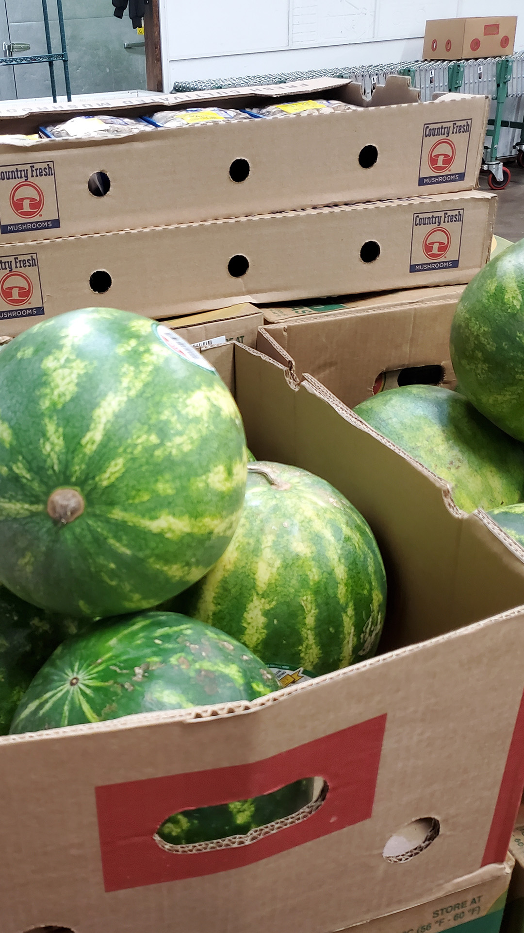 Cardboard boxes full of watermelons and packages of mushrooms sit stacked inside a walk-in refrigerator.
