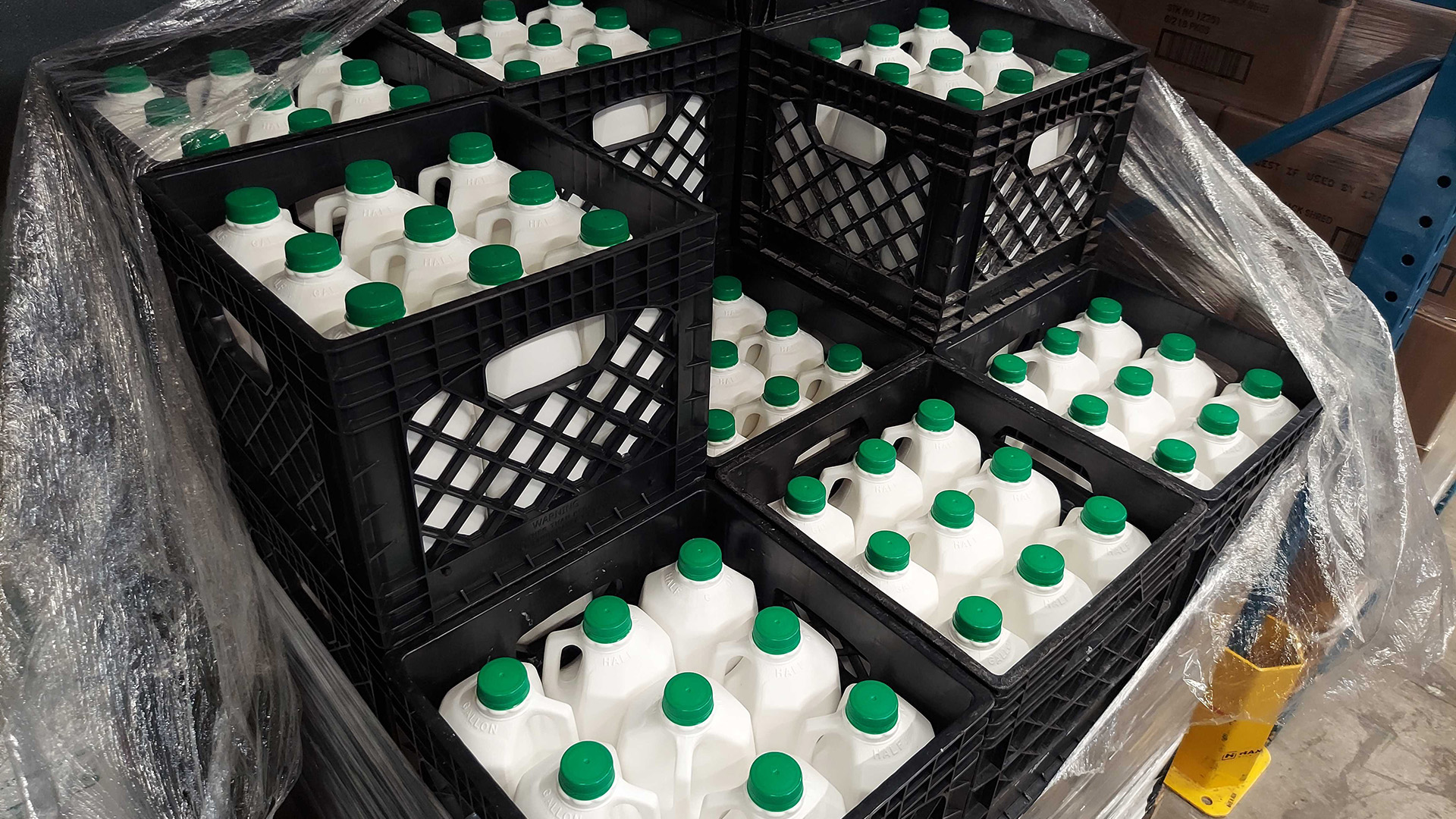Milk crates filled with plastic gallon jugs of milk sit stacked on a pallet.