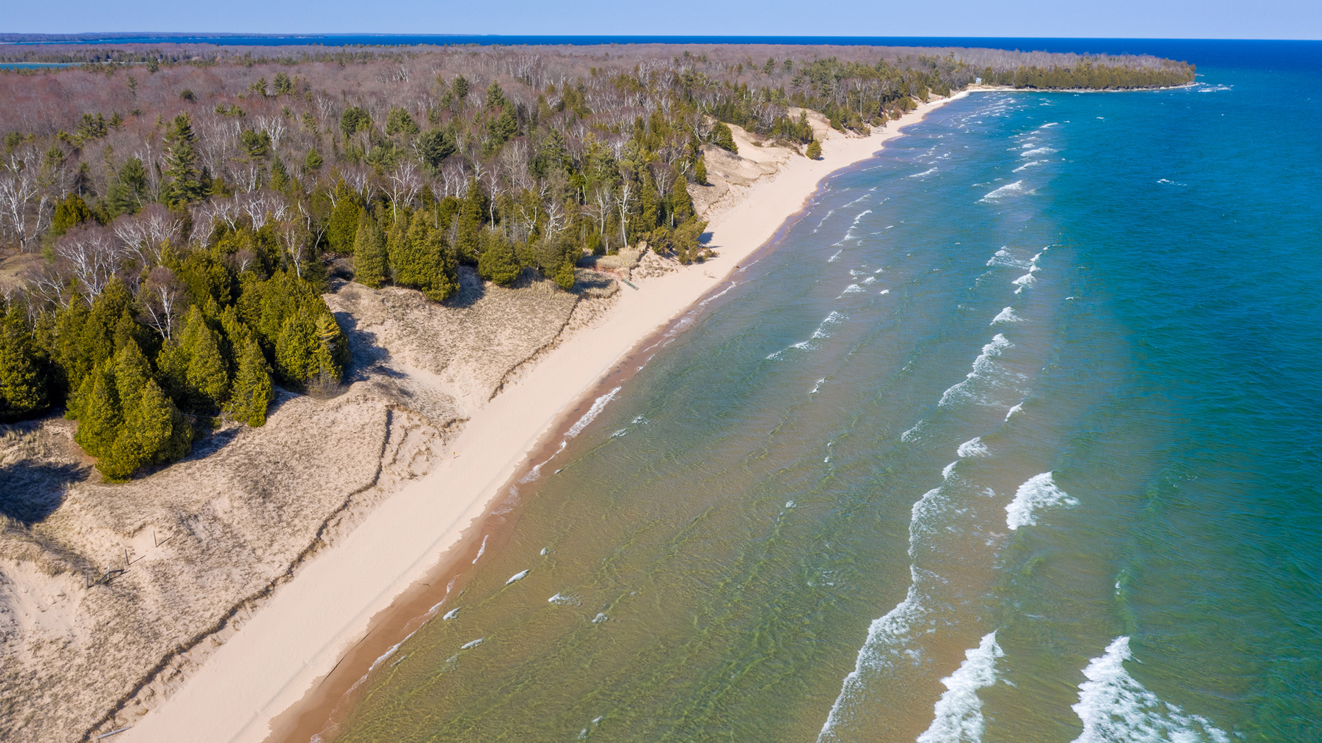 An aerial photo shows waves flowing toward a sand dune shoreline with green conifer and leafless deciduous trees on the land.