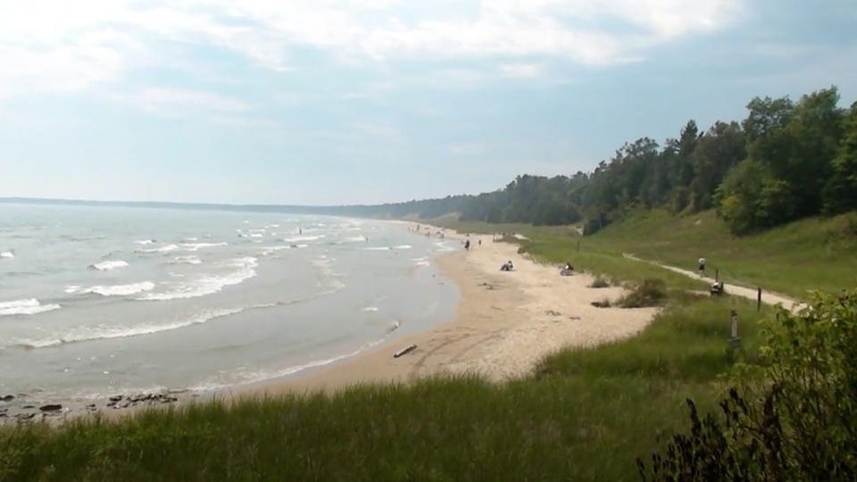 A screenshot shows waves flowing toward a sandy beach with grass and trees farther inland.