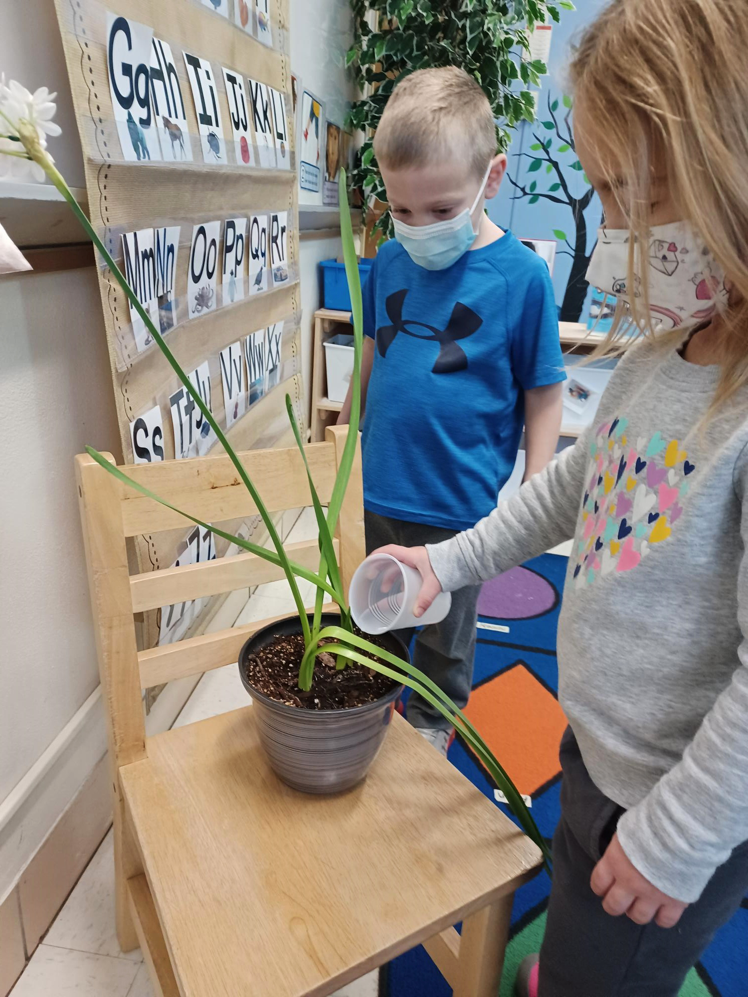 two children in a classroom watering a plant