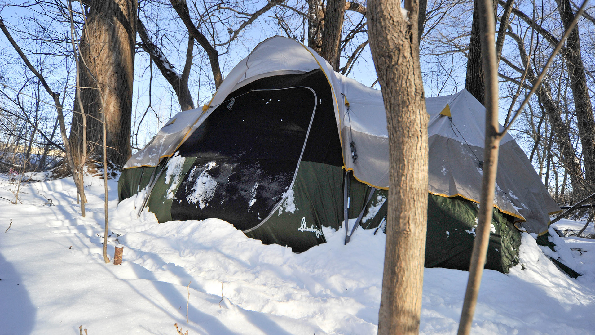 A tent sits on snow-covered ground among a stand of trees.