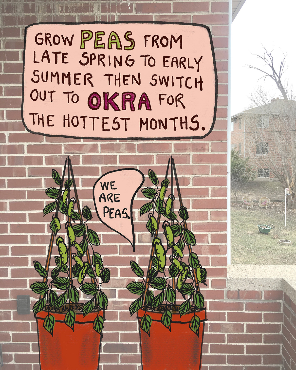 A photo of a brick wall with an overlaid illustration of two pots of peas 