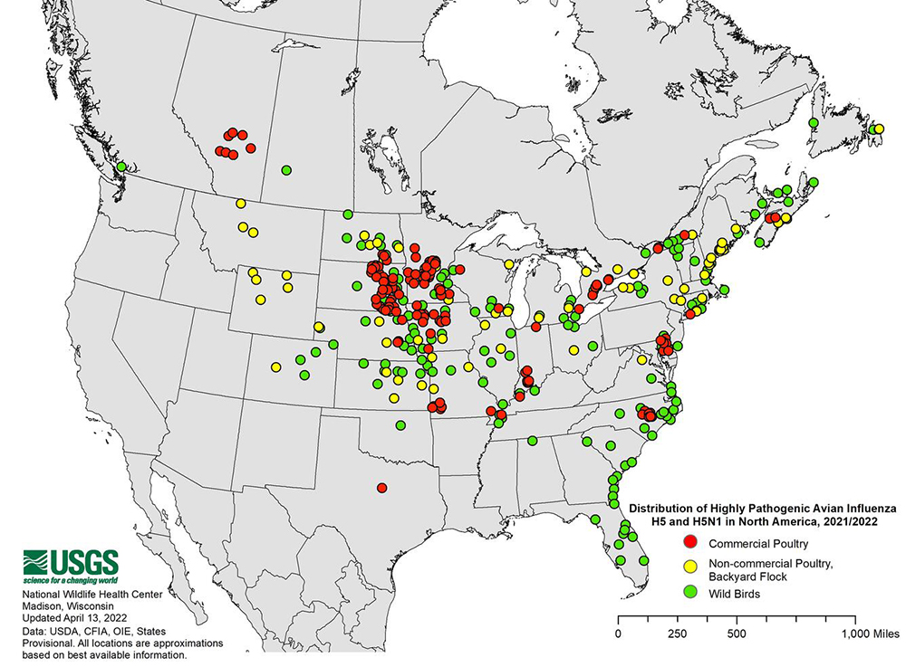 A map of North America shows the distribution of highly pathogenic avian influenza H5 and H5N1 in North America in 2021 and 2022, with different markers for commercial poultry, non-commercial poultry and backyard flocks, and wild birds.