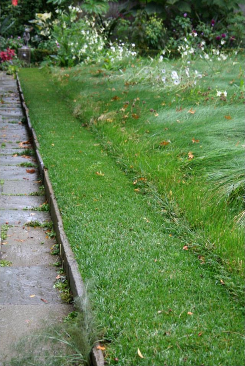 lawn trimmed along edge of sidewalk