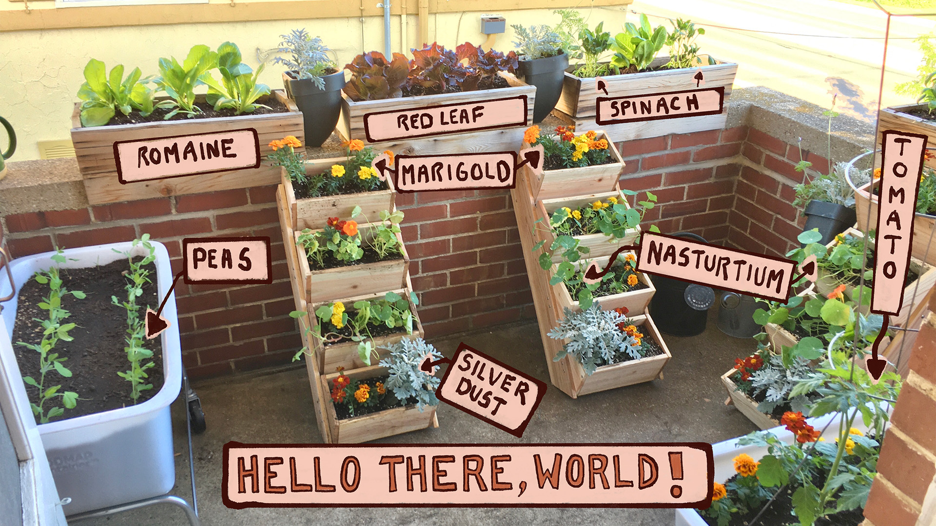 Let’s Grow Stuff: From planning to planting a balcony garden - PBS ...