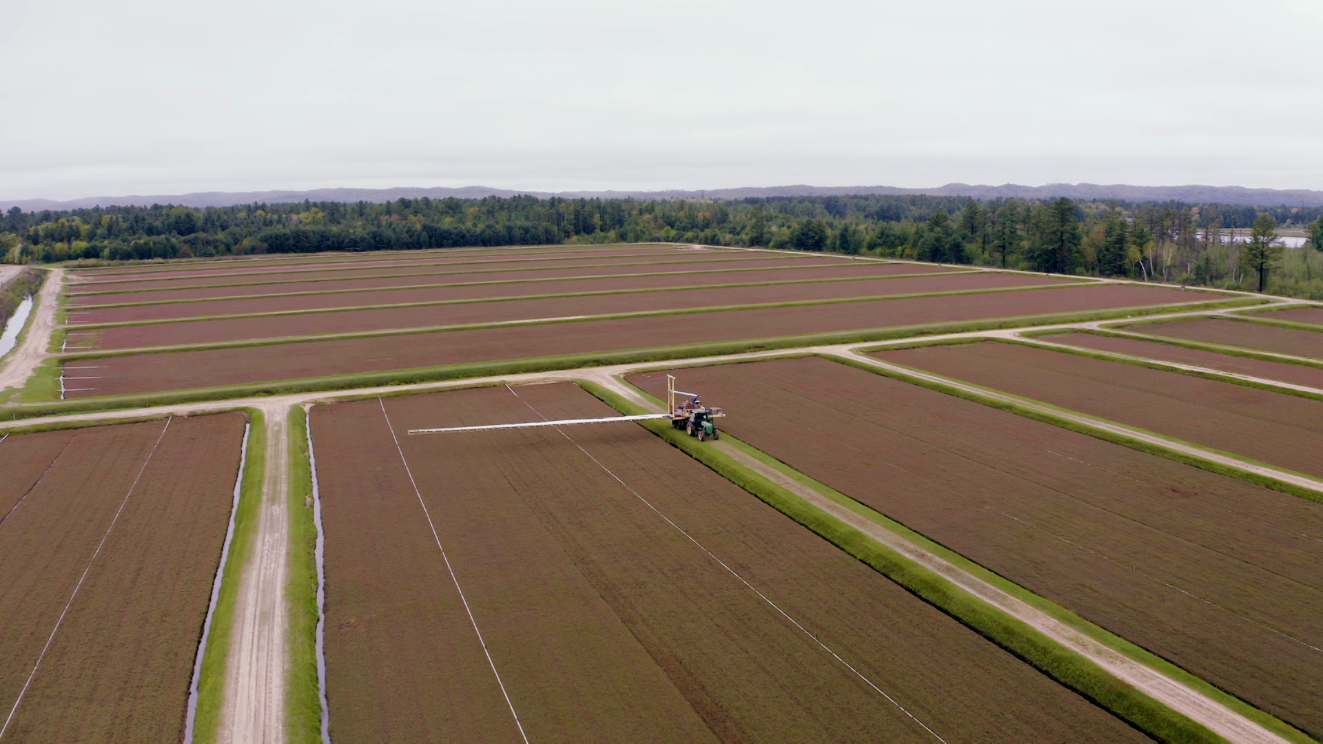 An aerial view of a cranberry marsh shows a farm vehicle driving on a causeway while tending to the plants.