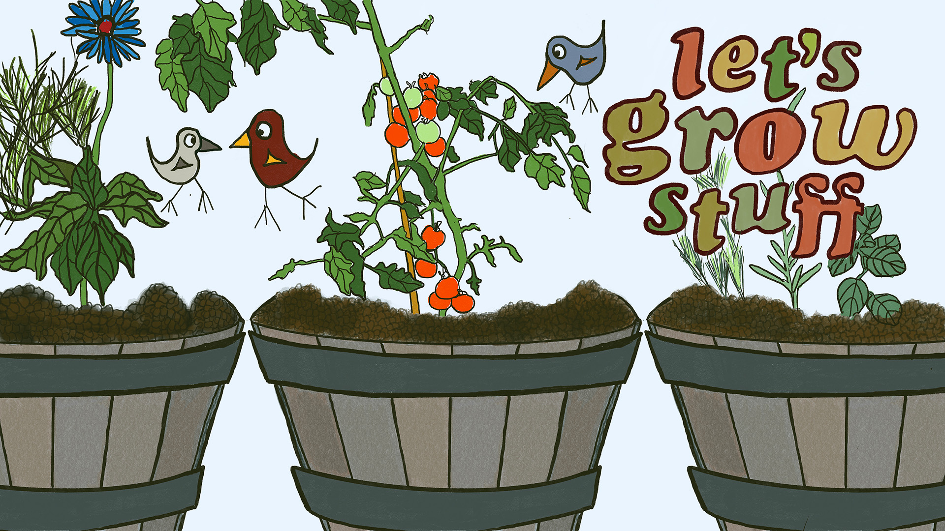 Three planters sit side-by side with coneflower, tomatoes and herb, surrounded by three birds